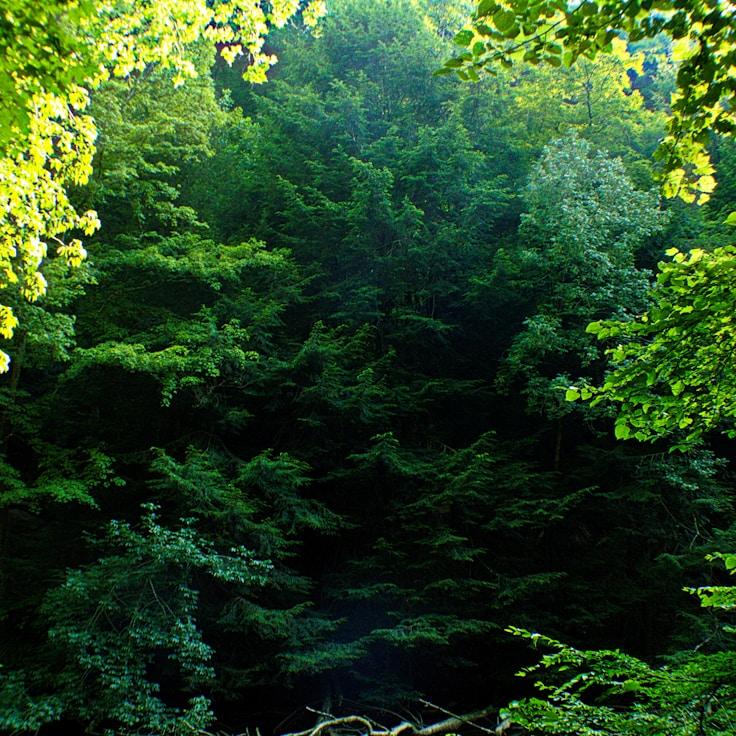National parks landscape